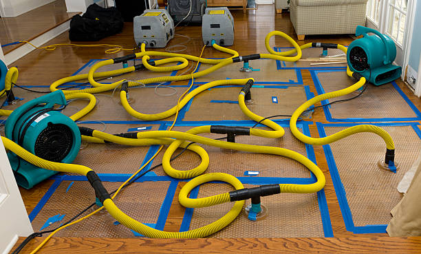 Professional Water Damage Repair technician working in Montville, CT